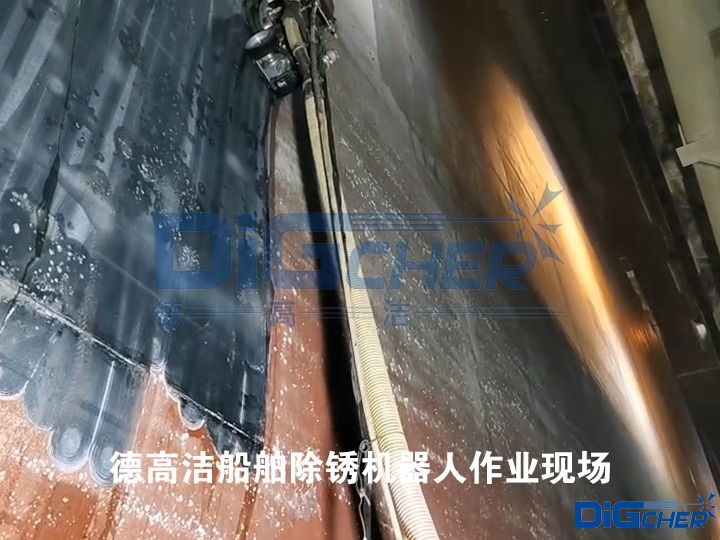 �¸ߝ��������P�C�������I�F��