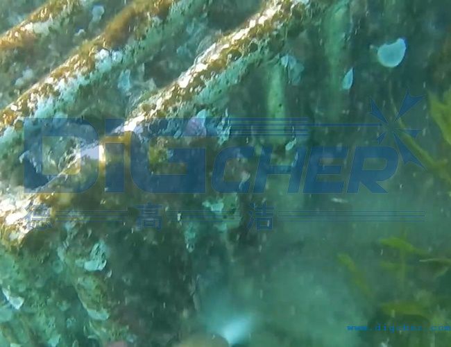 水下養(yǎng)殖網(wǎng)箱清洗技術(shù)